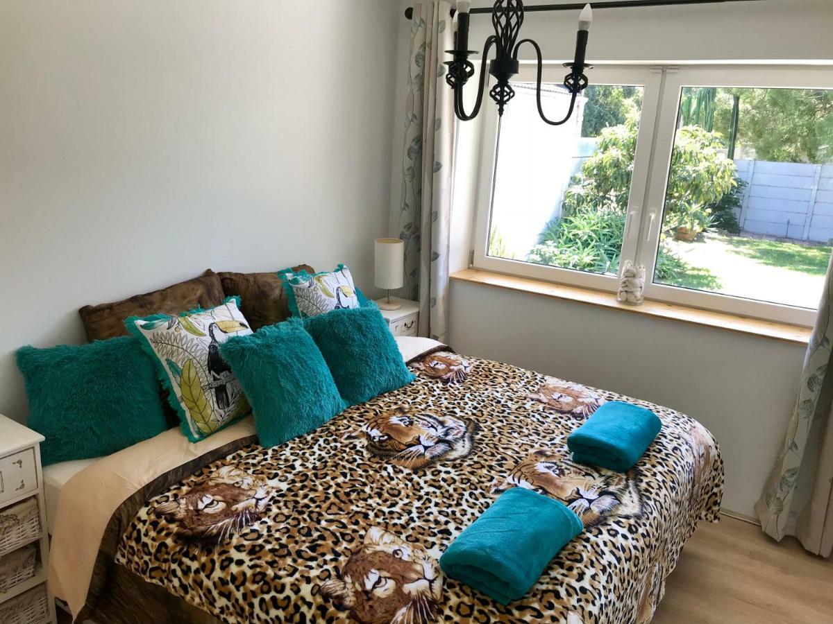 African Holiday Home In Table View كيب تاون المظهر الخارجي الصورة
