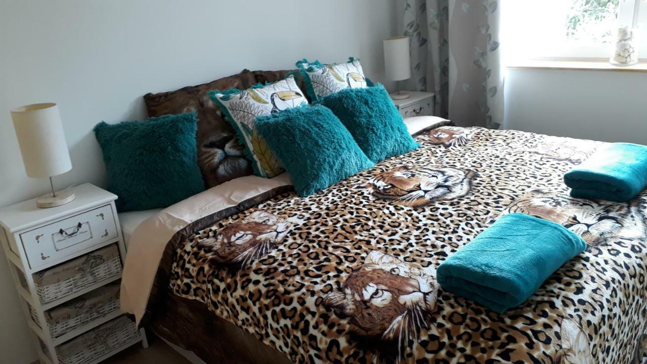 African Holiday Home In Table View كيب تاون المظهر الخارجي الصورة